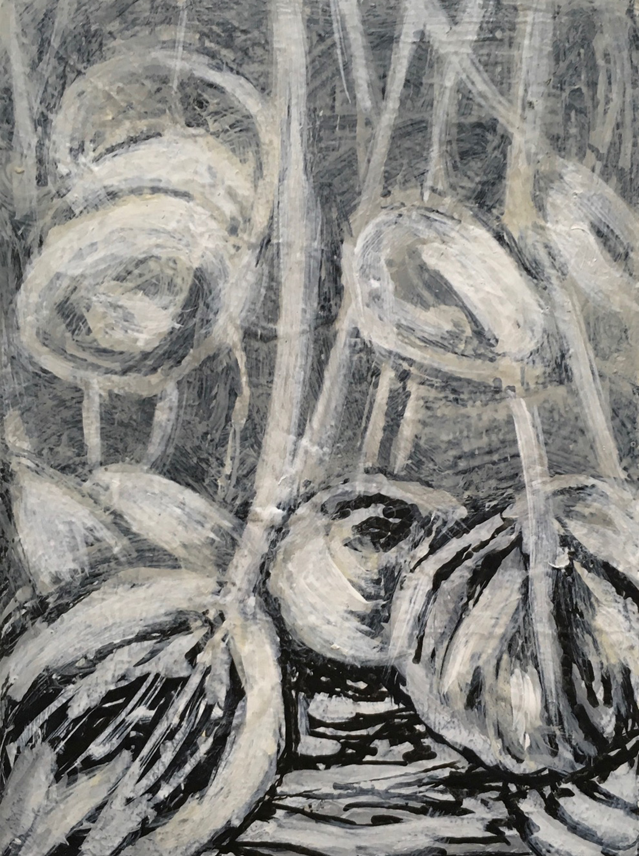Bild 001